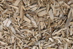 biomass boilers Maentwrog