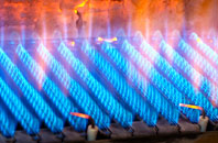 Maentwrog gas fired boilers